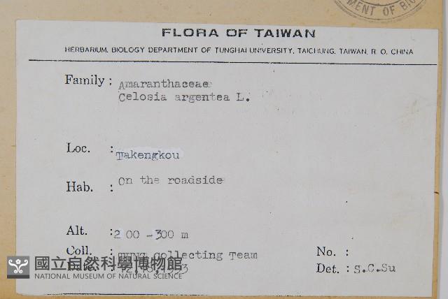 青葙藏品圖，第2張