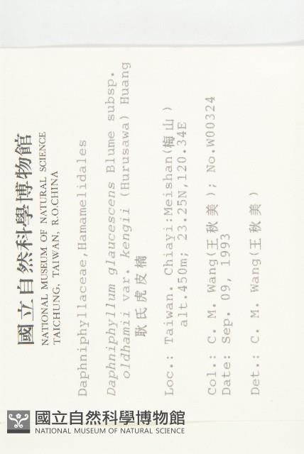 耿氏虎皮楠藏品圖，第2張