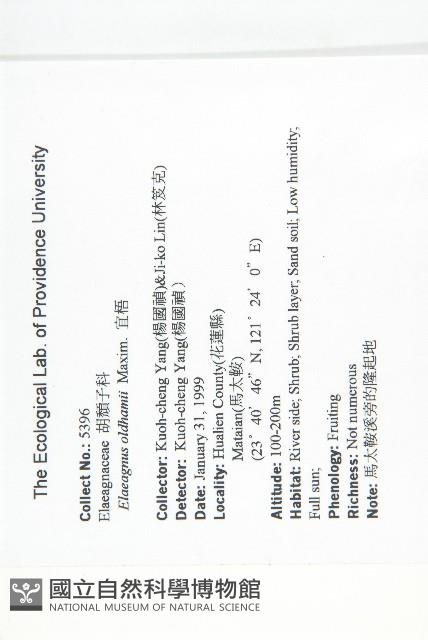 宜梧藏品圖，第2張