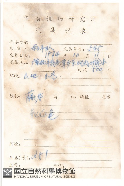 日本菟絲子藏品圖，第2張