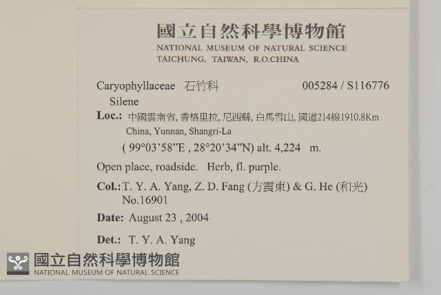 登錄號:S116776藏品圖，第2張