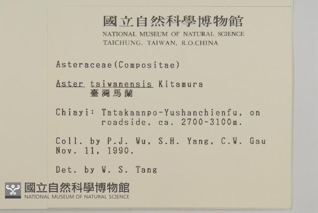 臺灣馬蘭藏品圖，第2張