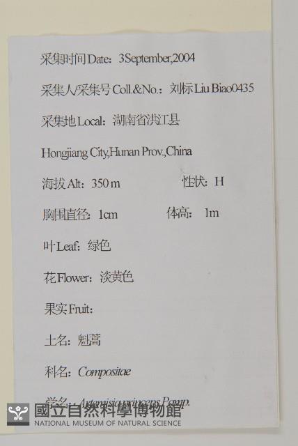 魁蒿藏品圖，第2張