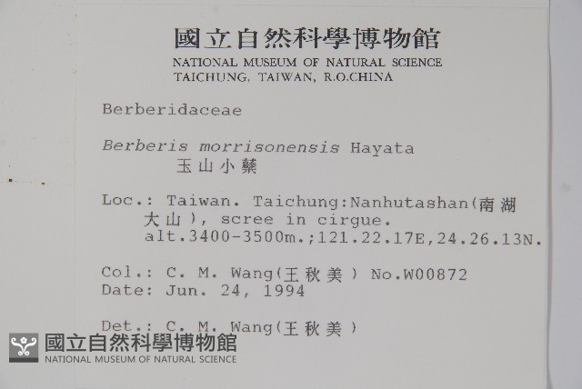 玉山小蘗藏品圖，第2張