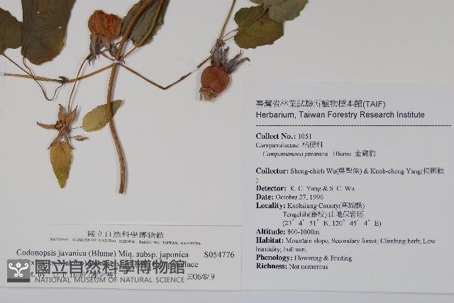 金錢豹藏品圖，第2張