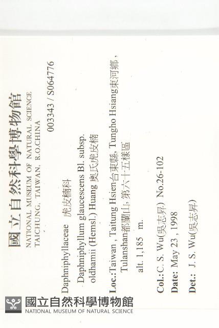 耿氏虎皮楠藏品圖，第2張