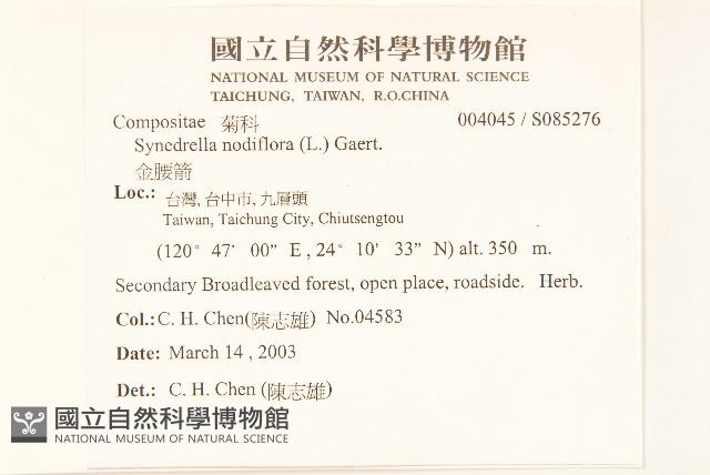 金腰箭藏品圖，第2張