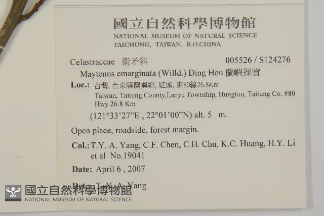 蘭嶼裸實藏品圖，第2張