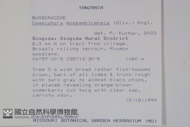 登錄號:S094276藏品圖，第2張