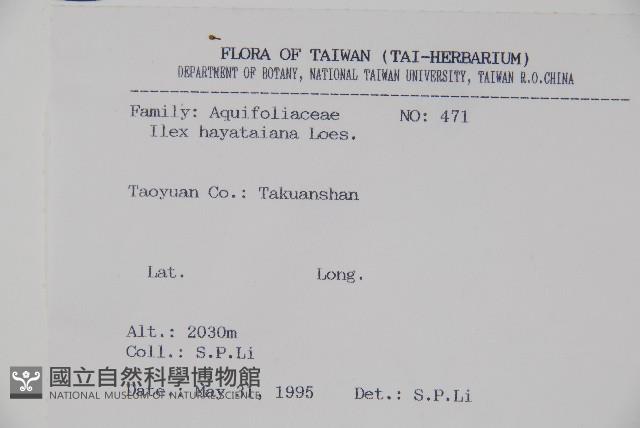 早田氏冬青藏品圖，第2張