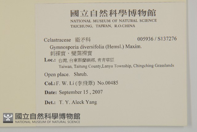 刺裸實、變葉裸實藏品圖，第2張
