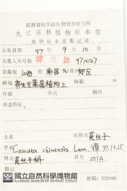 中國菟絲子藏品圖，第2張