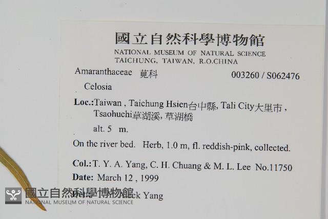 登錄號:S062476藏品圖，第5張