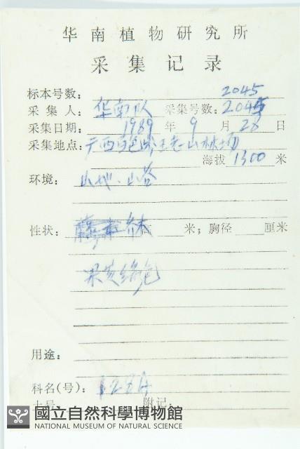 薄果猴歡喜藏品圖，第2張