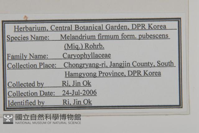 登錄號:S120476藏品圖，第2張