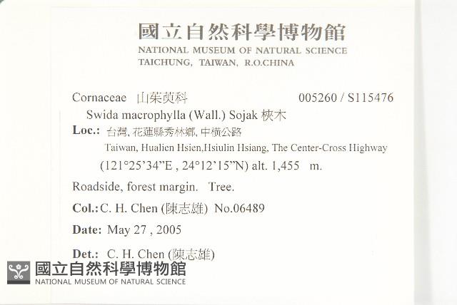 梜木藏品圖，第2張