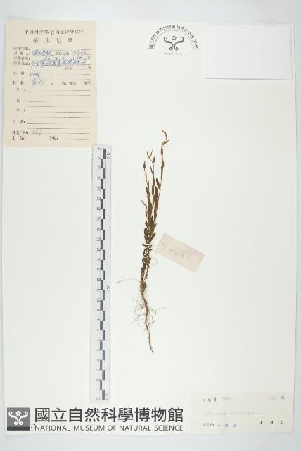 土丁桂藏品圖，第1張