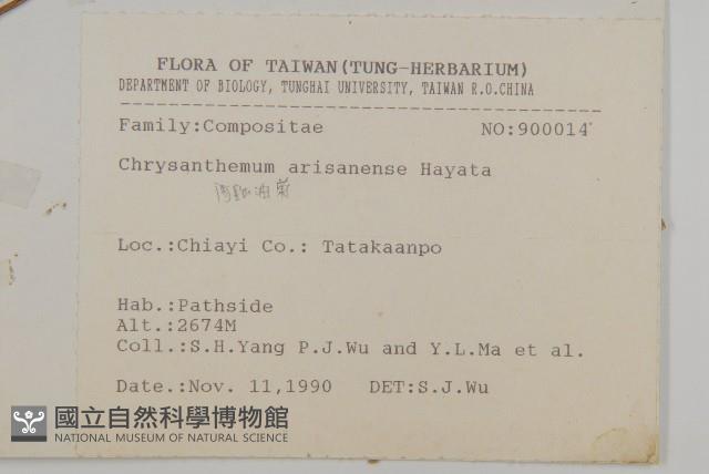 阿里山油菊藏品圖，第2張