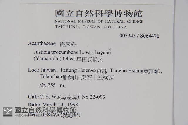 爵床藏品圖，第2張