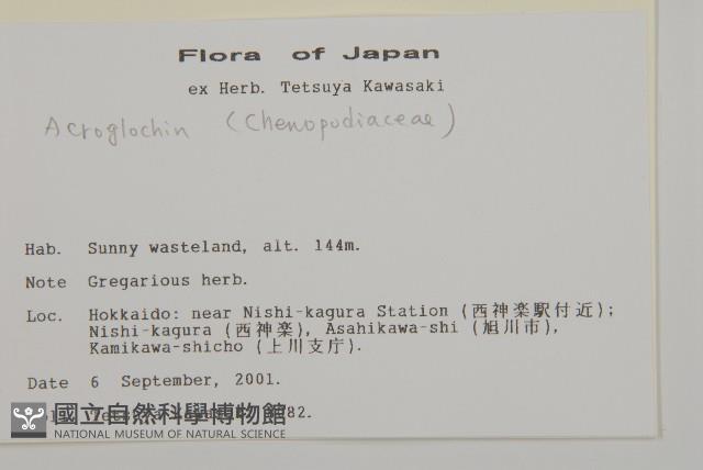 登錄號:S113476藏品圖，第2張