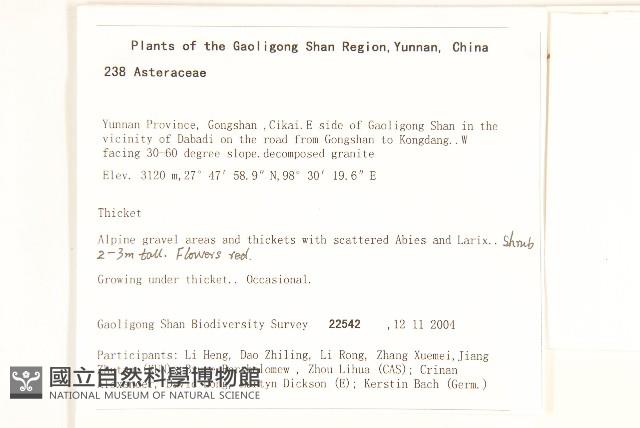 革苞千里光藏品圖，第2張