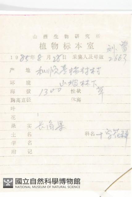 Accession Number:S036176 Collection Image, Figure 2, Total 3 Figures