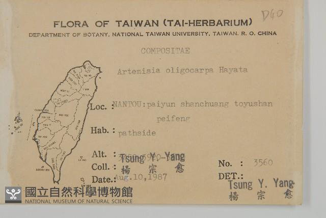 高山艾藏品圖，第2張