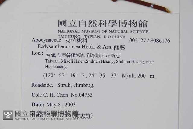 酸藤藏品圖，第2張