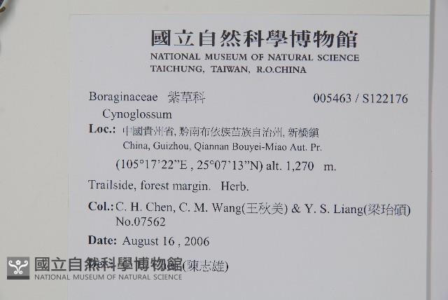 登錄號:S122176藏品圖，第2張