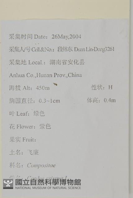 飛廉藏品圖，第2張