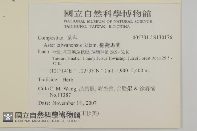 臺灣馬蘭藏品圖，第2張