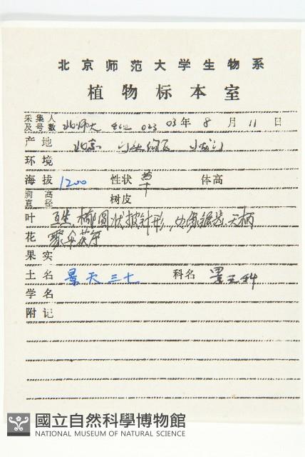 費菜藏品圖，第2張