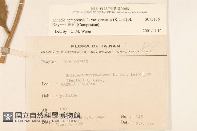 黃菀藏品圖，第2張