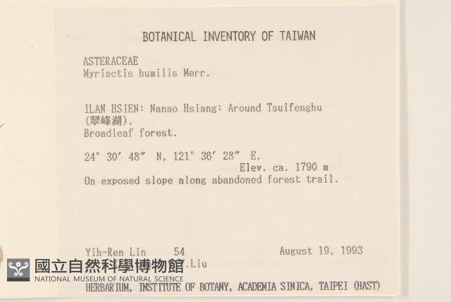 矮菊藏品圖，第2張