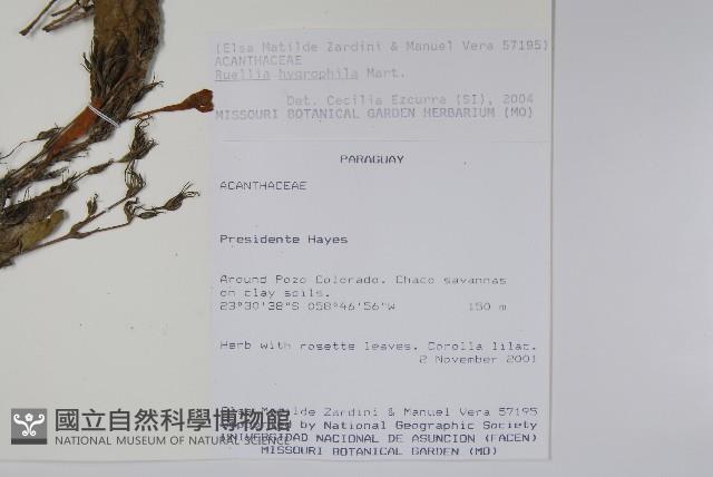 登錄號:S113176藏品圖，第2張