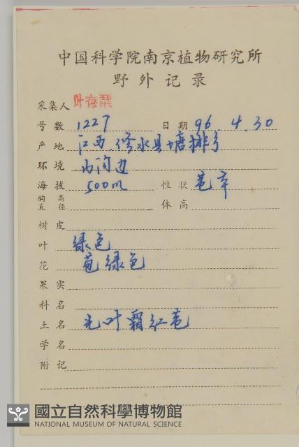 過山楓藏品圖，第2張