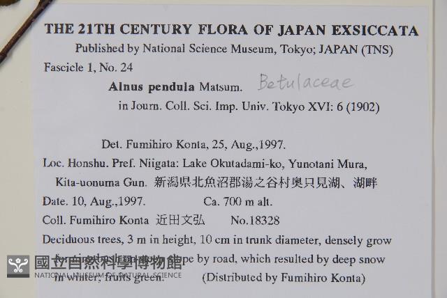 登錄號:S111376藏品圖，第2張