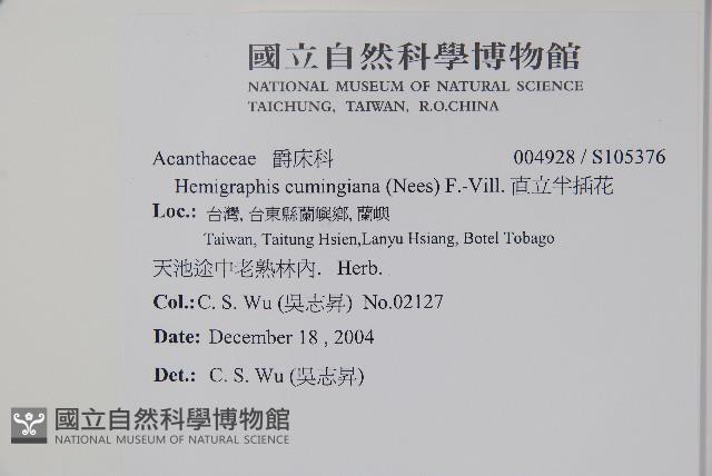 直立半插花藏品圖，第2張