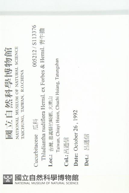 青牛膽藏品圖，第2張