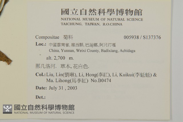 登錄號:S137376藏品圖，第2張