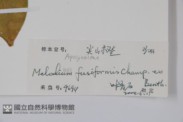 尖山橙藏品圖，第2張