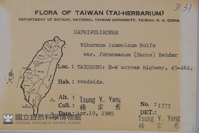 紅子莢迷藏品圖，第2張