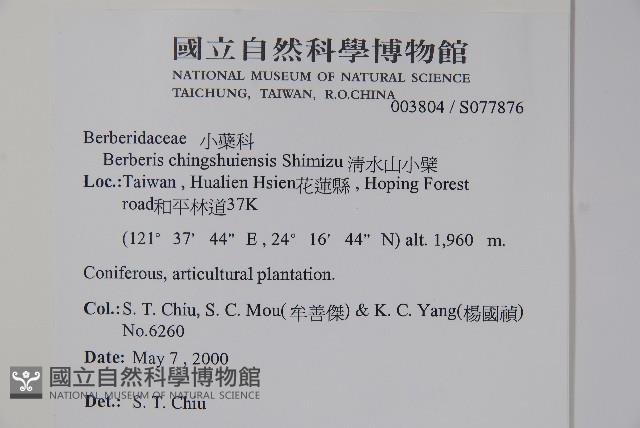 清水山小檗藏品圖，第2張