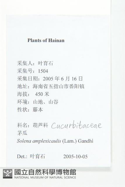 茅瓜藏品圖，第2張