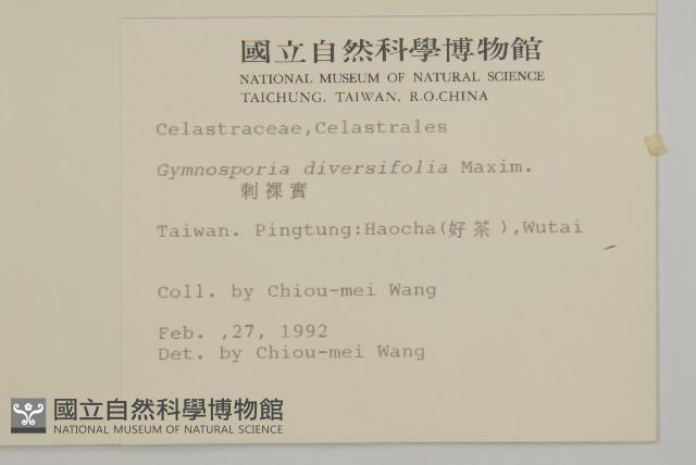 刺裸實、變葉裸實藏品圖，第2張