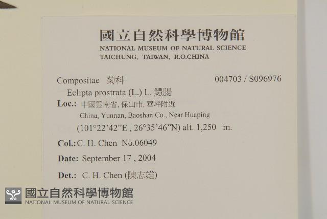 鱧腸藏品圖，第2張