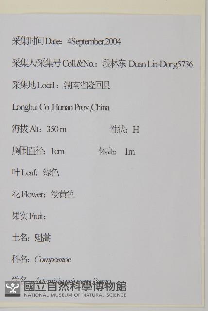 魁蒿藏品圖，第2張