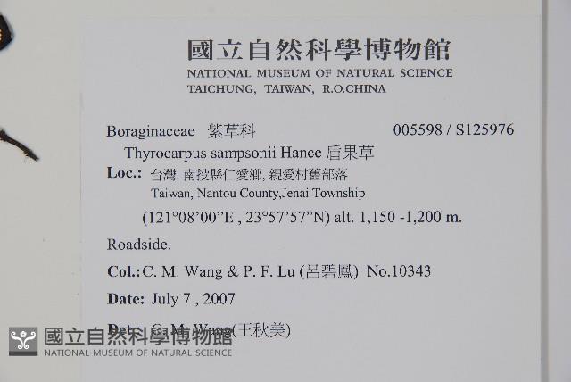 盾果草藏品圖，第2張