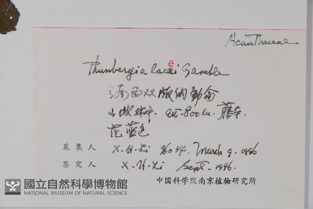 登錄號:S055976藏品圖，第2張