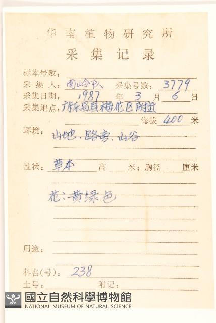 齒緣苦實藏品圖，第2張